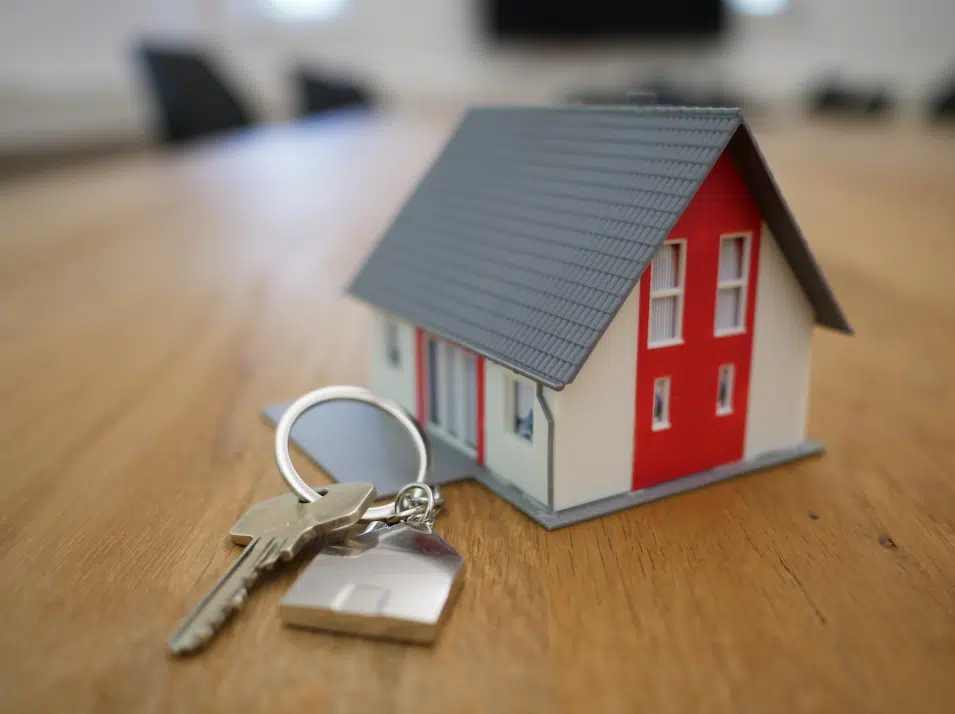 Programme immobilier neuf : 3 choses a savoir avant de vous lancer