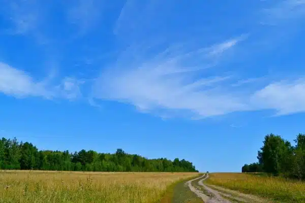 Terrain non constructible : bien connaître la loi pour savoir ce qui est autorisé