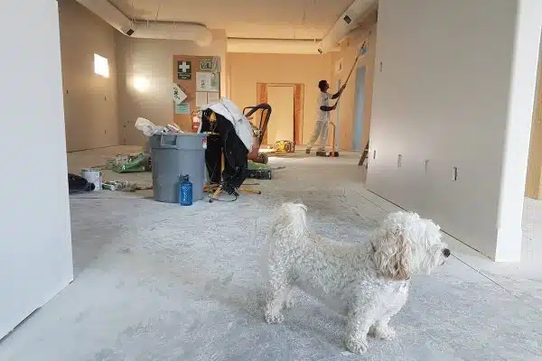 Les clés pour sélectionner le meilleur entrepreneur pour vos travaux de rénovation