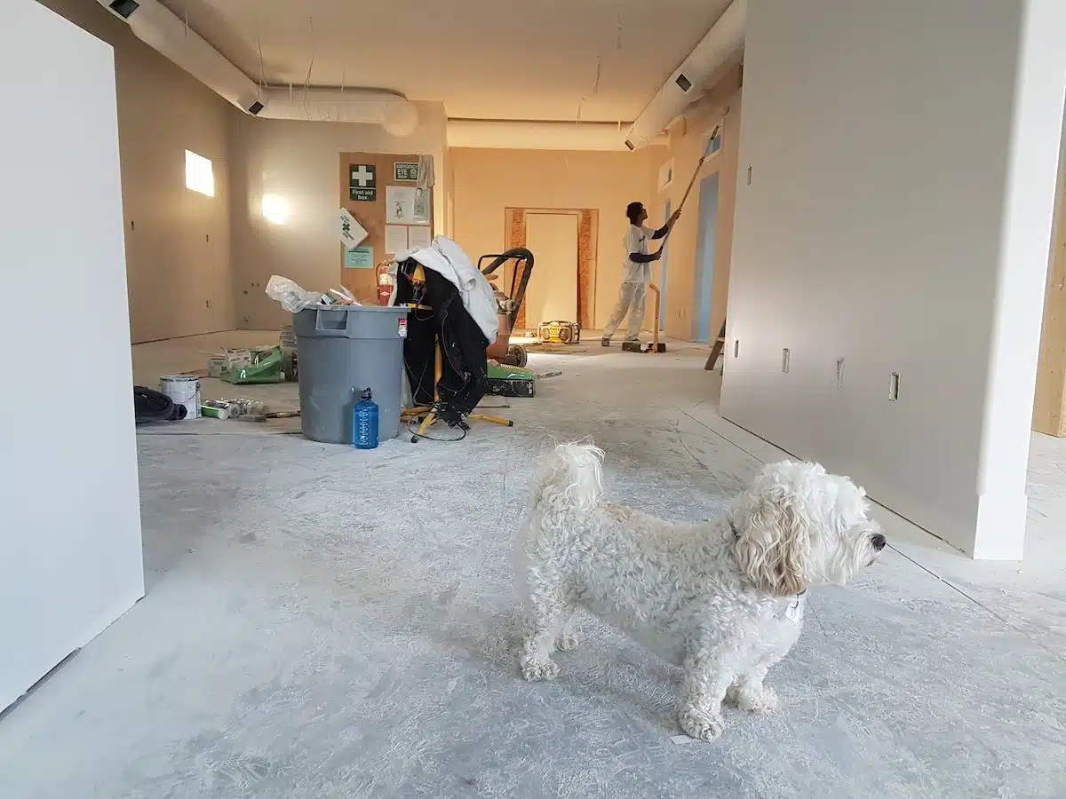 Les clés pour sélectionner le meilleur entrepreneur pour vos travaux de rénovation